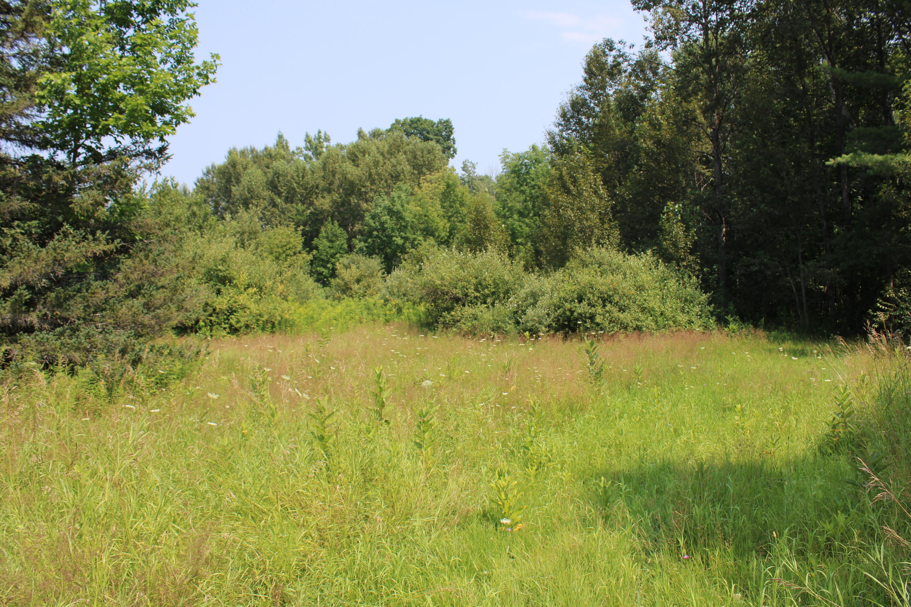 2838 West Trask Lake Road Barton City, MI 48705 - Photo 35 of 72 IMG_4820