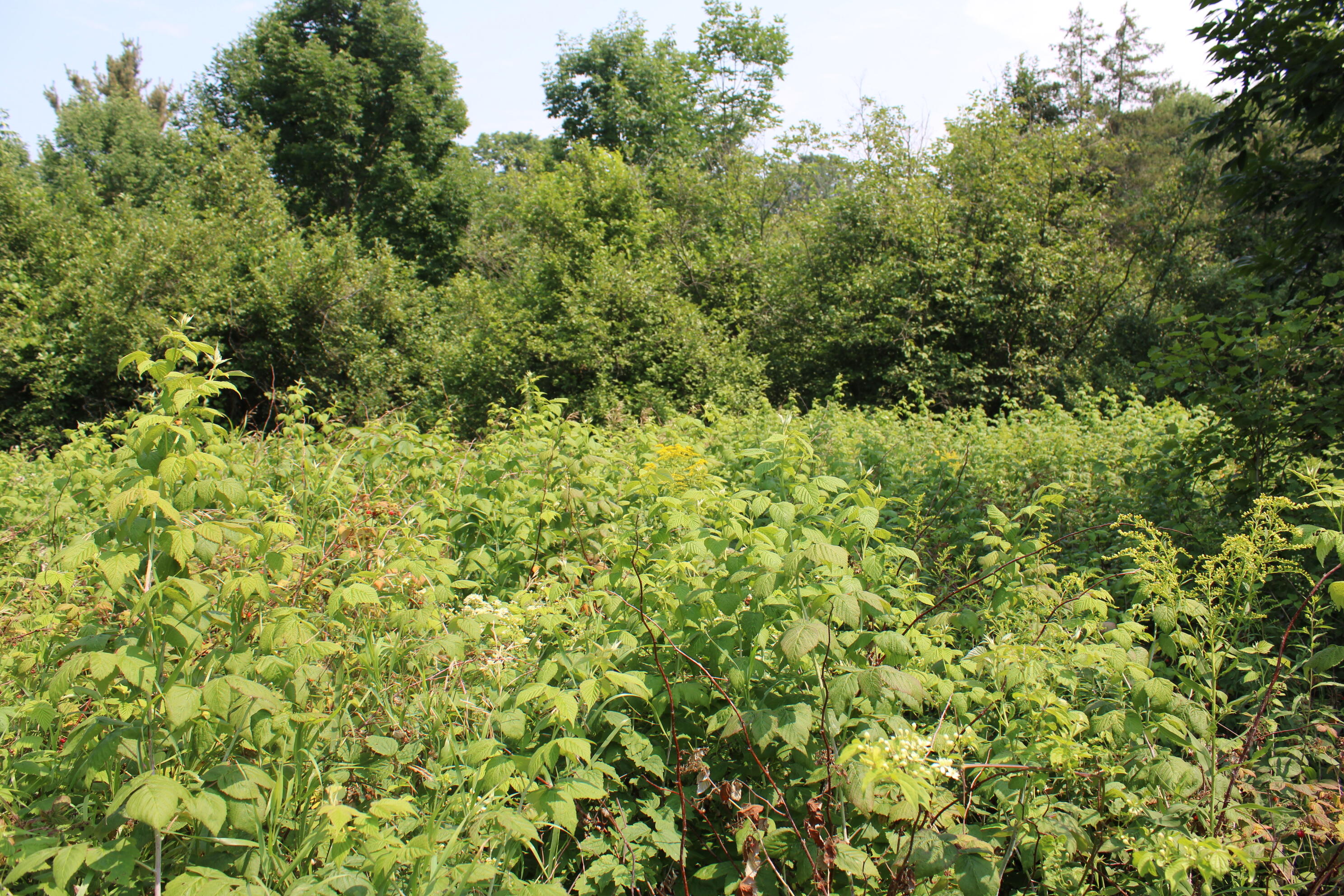 2838 West Trask Lake Road Barton City, MI 48705 - Photo 37 of 72 IMG_4823