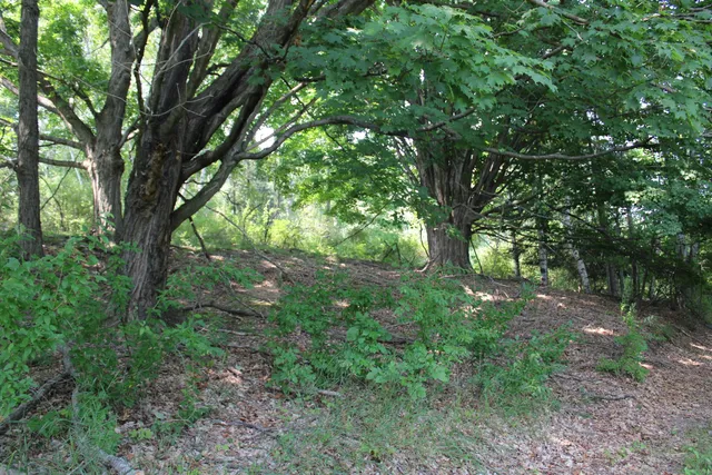 $550,000 | 2838 West Trask Lake Road, Barton City, MI 48705