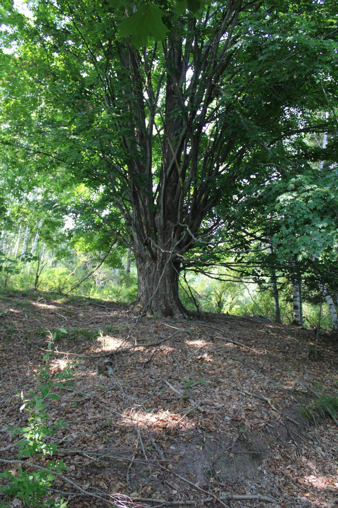 2838 West Trask Lake Road Barton City, MI 48705 - Photo 39 of 72 IMG_4825