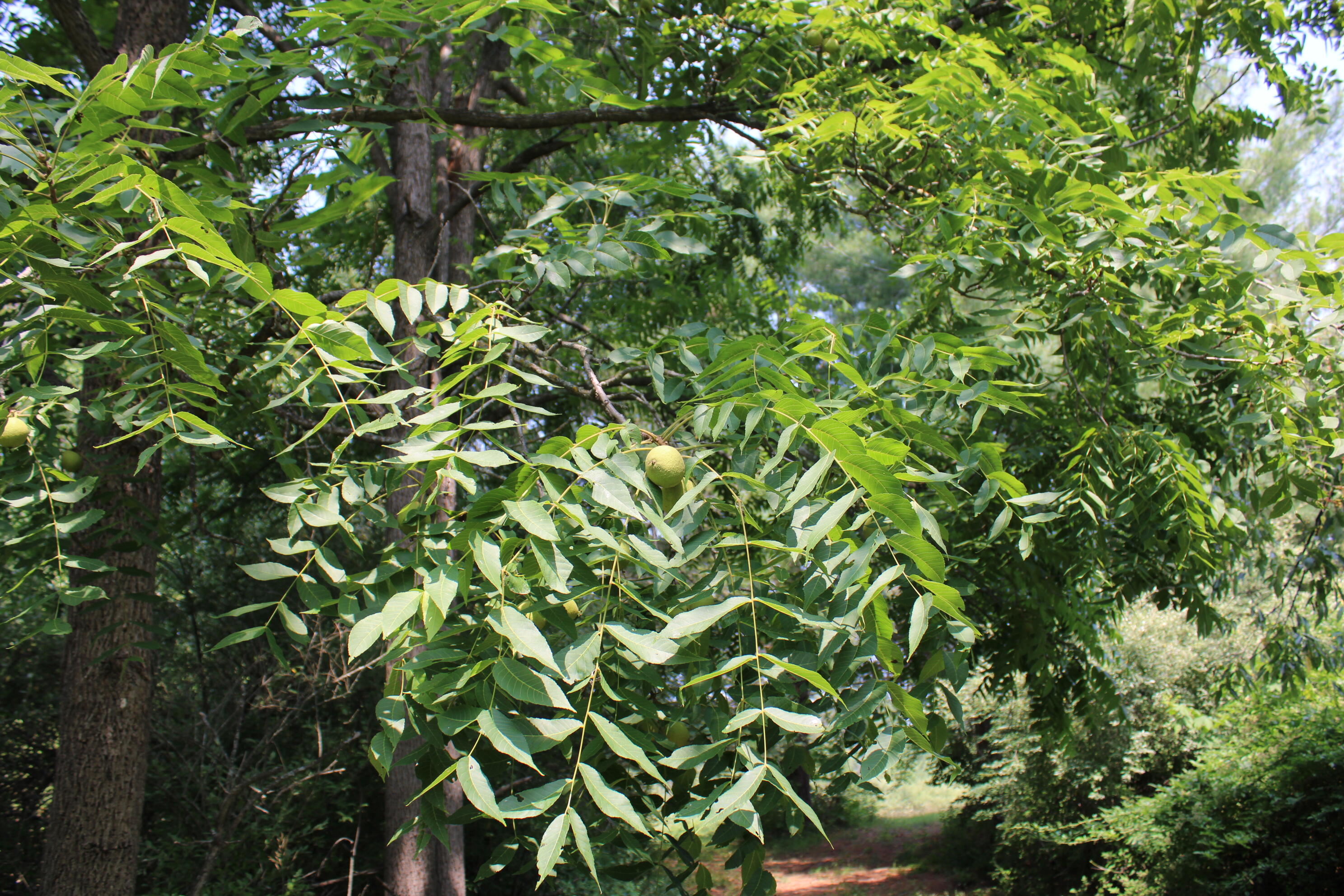 2838 West Trask Lake Road Barton City, MI 48705 - Photo 40 of 72 IMG_4826