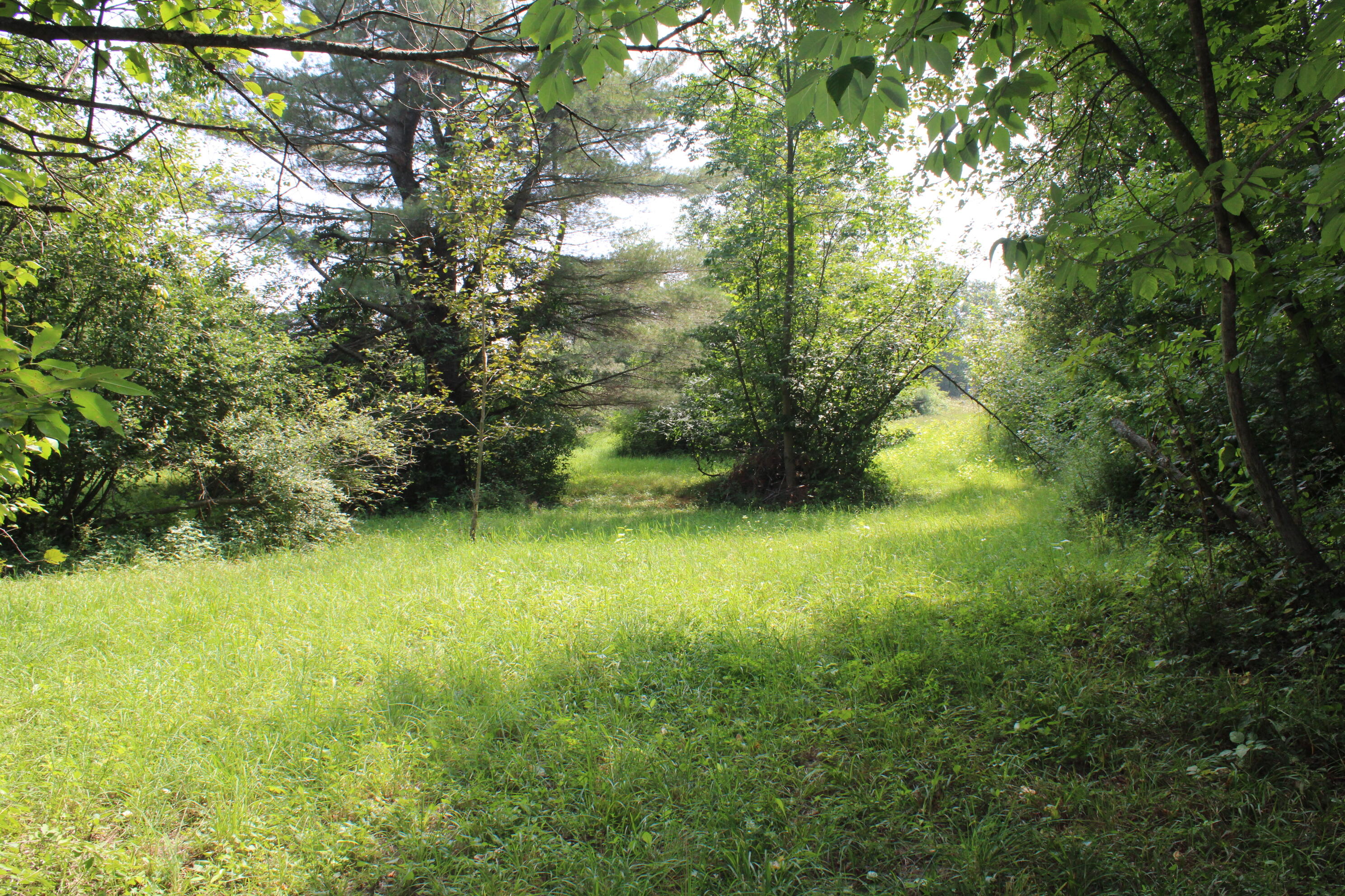 2838 West Trask Lake Road Barton City, MI 48705 - Photo 42 of 72 IMG_4828