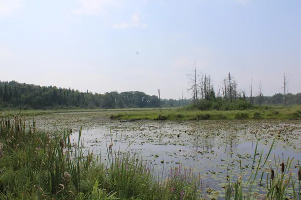 $550,000 | 2838 West Trask Lake Road, Barton City, MI 48705