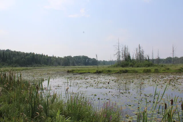 $550,000 | 2838 West Trask Lake Road, Barton City, MI 48705