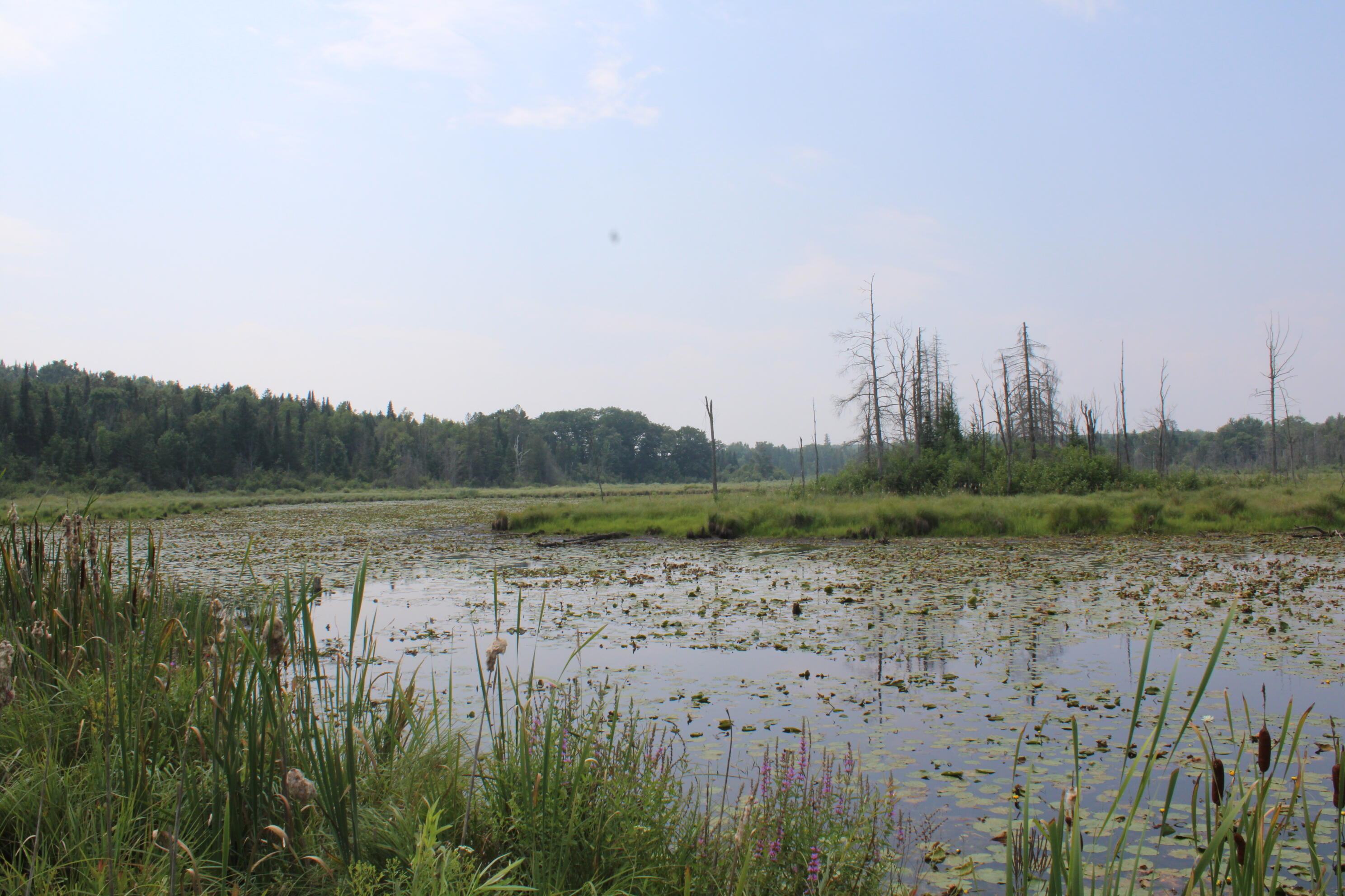 2838 West Trask Lake Road Barton City, MI 48705 - Photo 44 of 72 IMG_4833