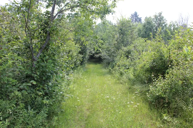 $550,000 | 2838 West Trask Lake Road, Barton City, MI 48705