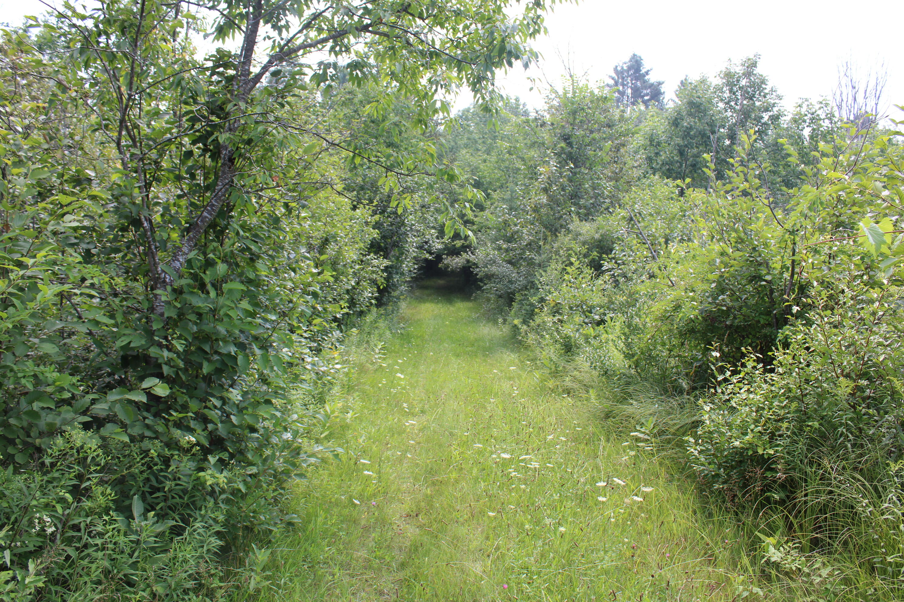 2838 West Trask Lake Road Barton City, MI 48705 - Photo 45 of 72 IMG_4834