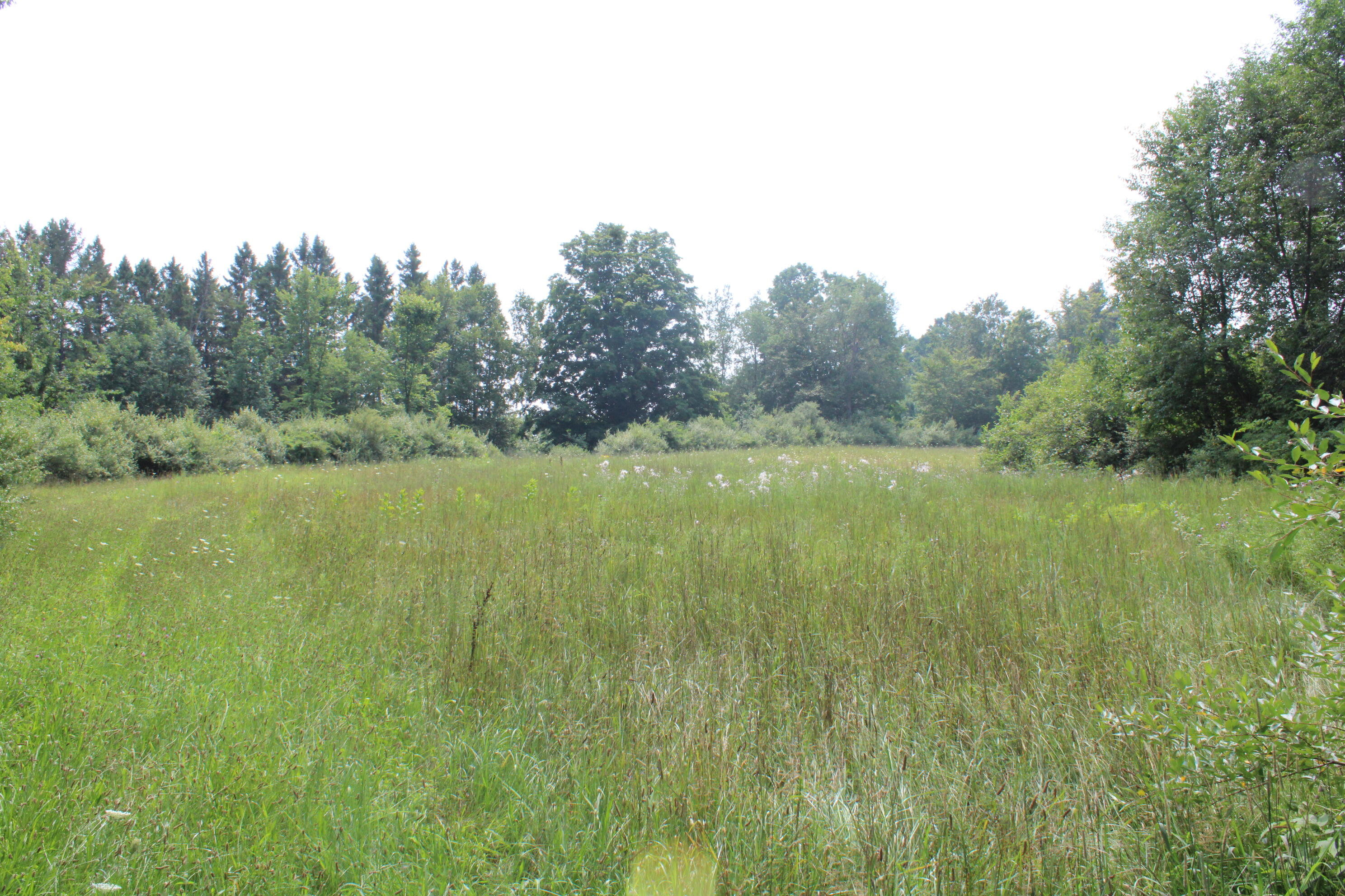 2838 West Trask Lake Road Barton City, MI 48705 - Photo 46 of 72 IMG_4835