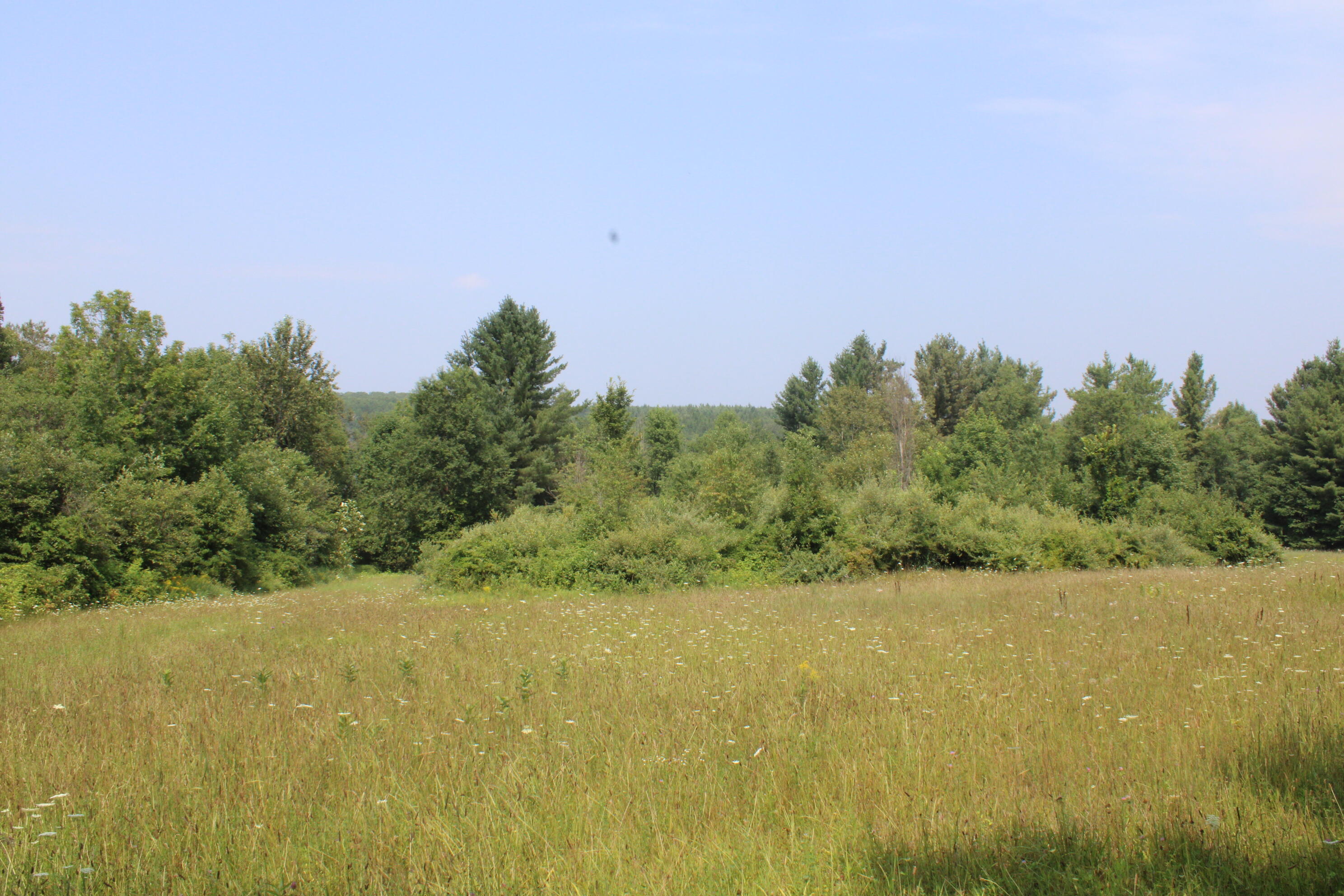 2838 West Trask Lake Road Barton City, MI 48705 - Photo 47 of 72 IMG_4836