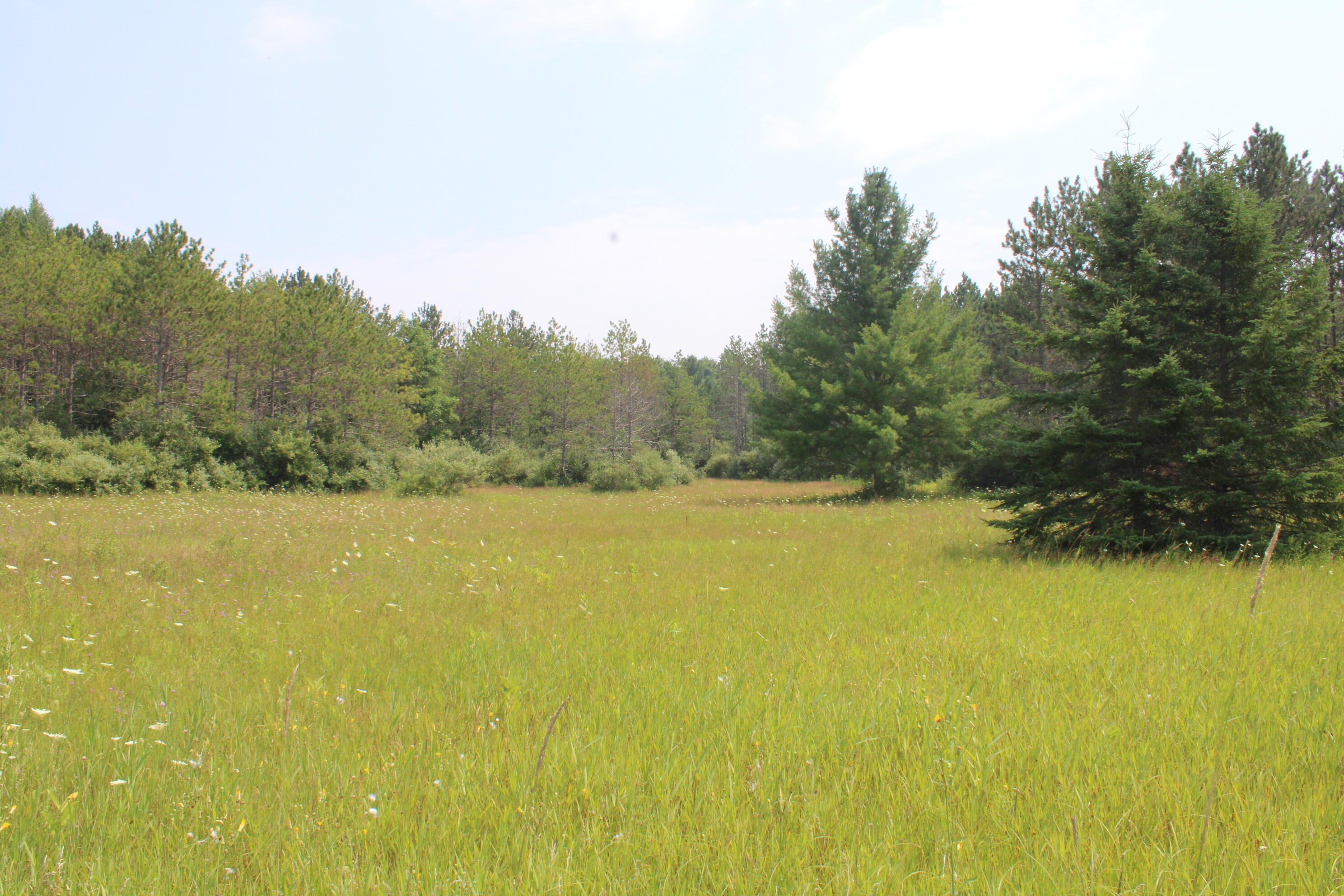 2838 West Trask Lake Road Barton City, MI 48705 - Photo 48 of 72 IMG_4838