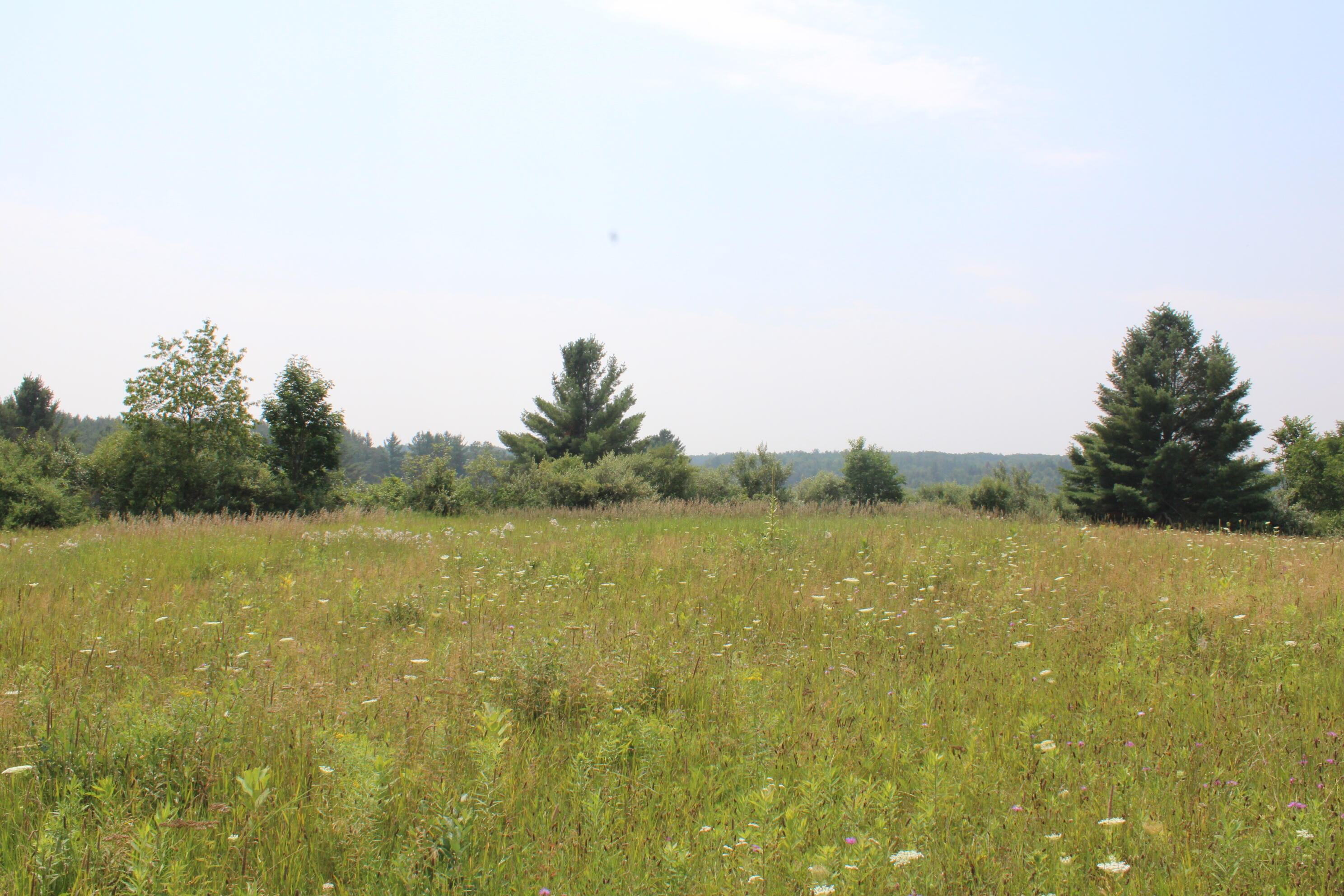 2838 West Trask Lake Road Barton City, MI 48705 - Photo 49 of 72 IMG_4839