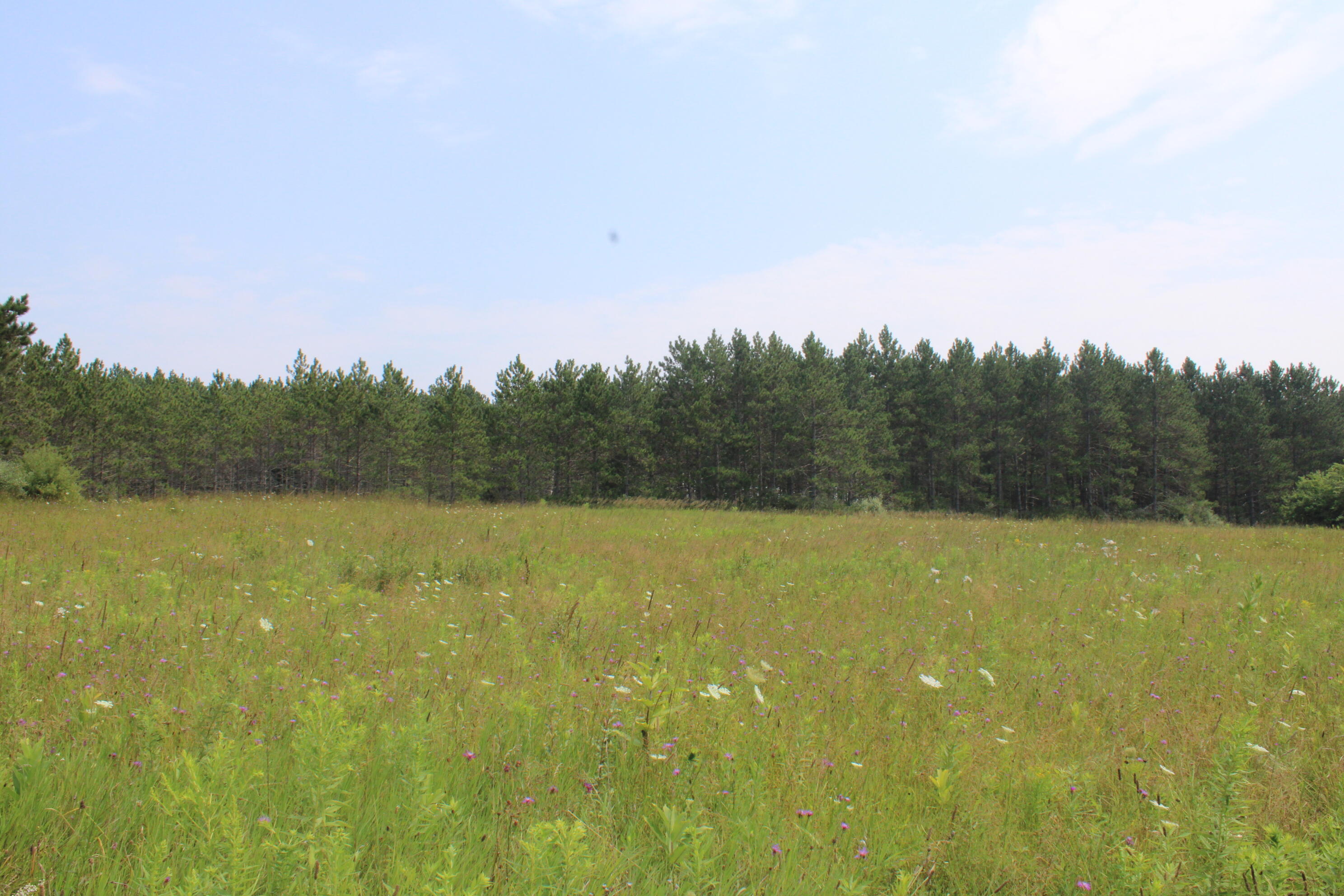 2838 West Trask Lake Road Barton City, MI 48705 - Photo 50 of 72 IMG_4840