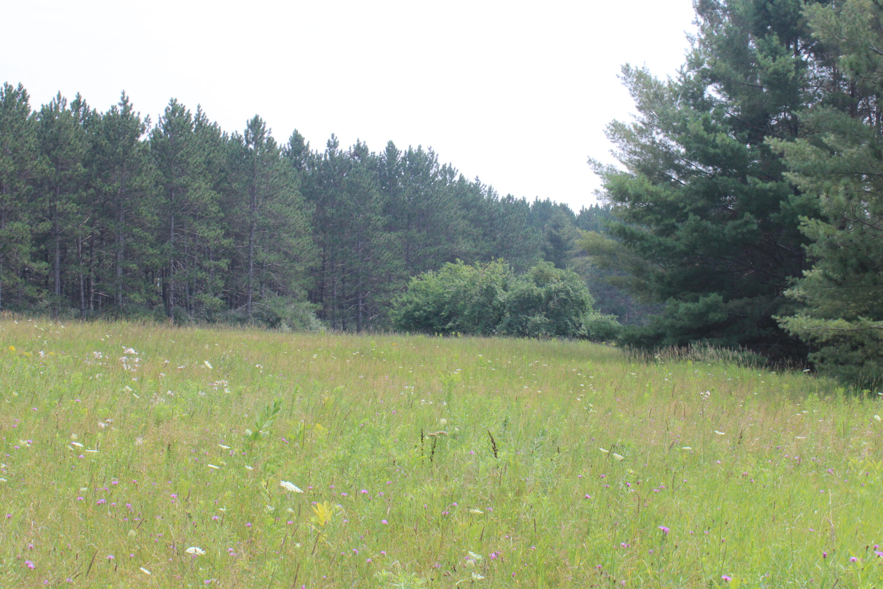 2838 West Trask Lake Road Barton City, MI 48705 - Photo 51 of 72 IMG_4841