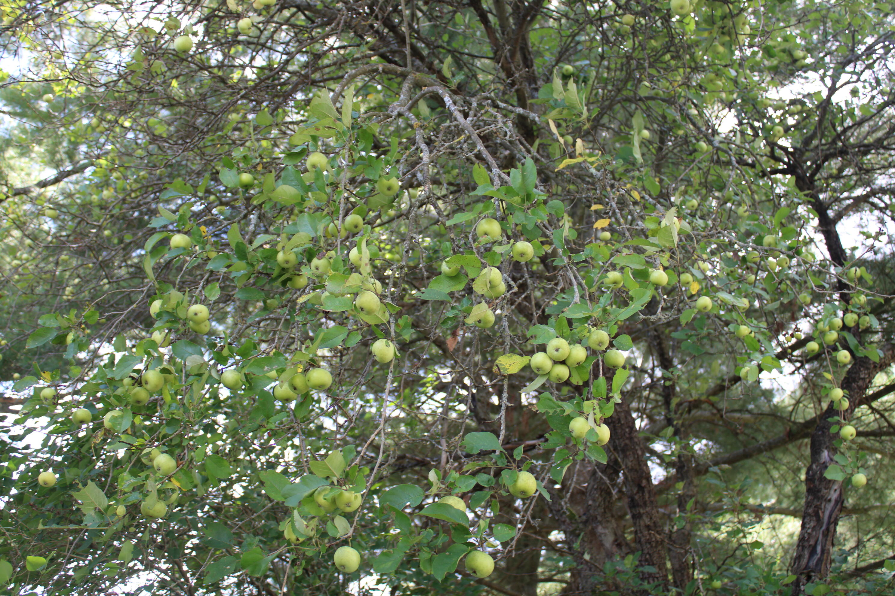 2838 West Trask Lake Road Barton City, MI 48705 - Photo 55 of 72 IMG_4959