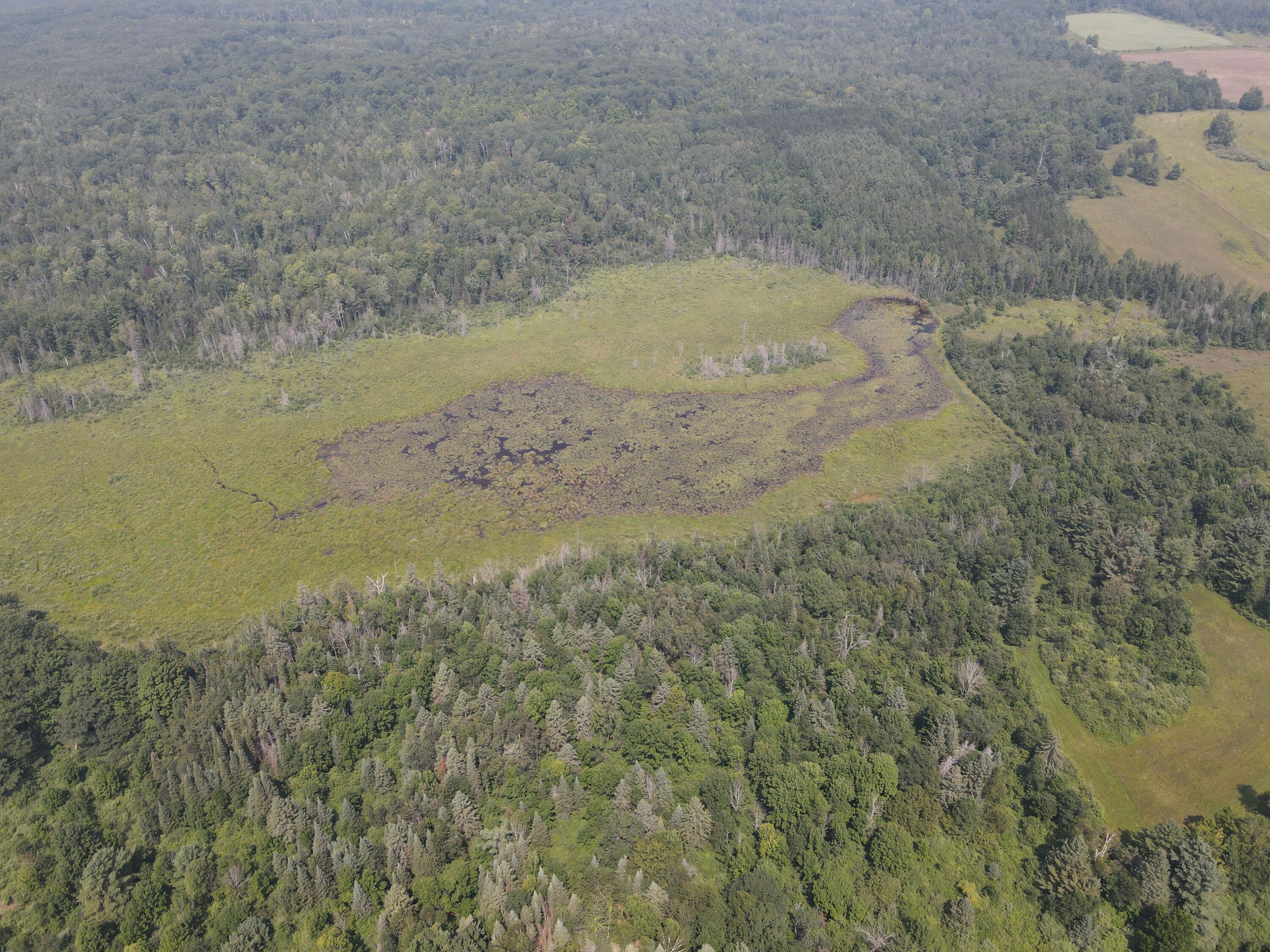 2838 West Trask Lake Road Barton City, MI 48705 - Photo 62 of 72 DJI_0626