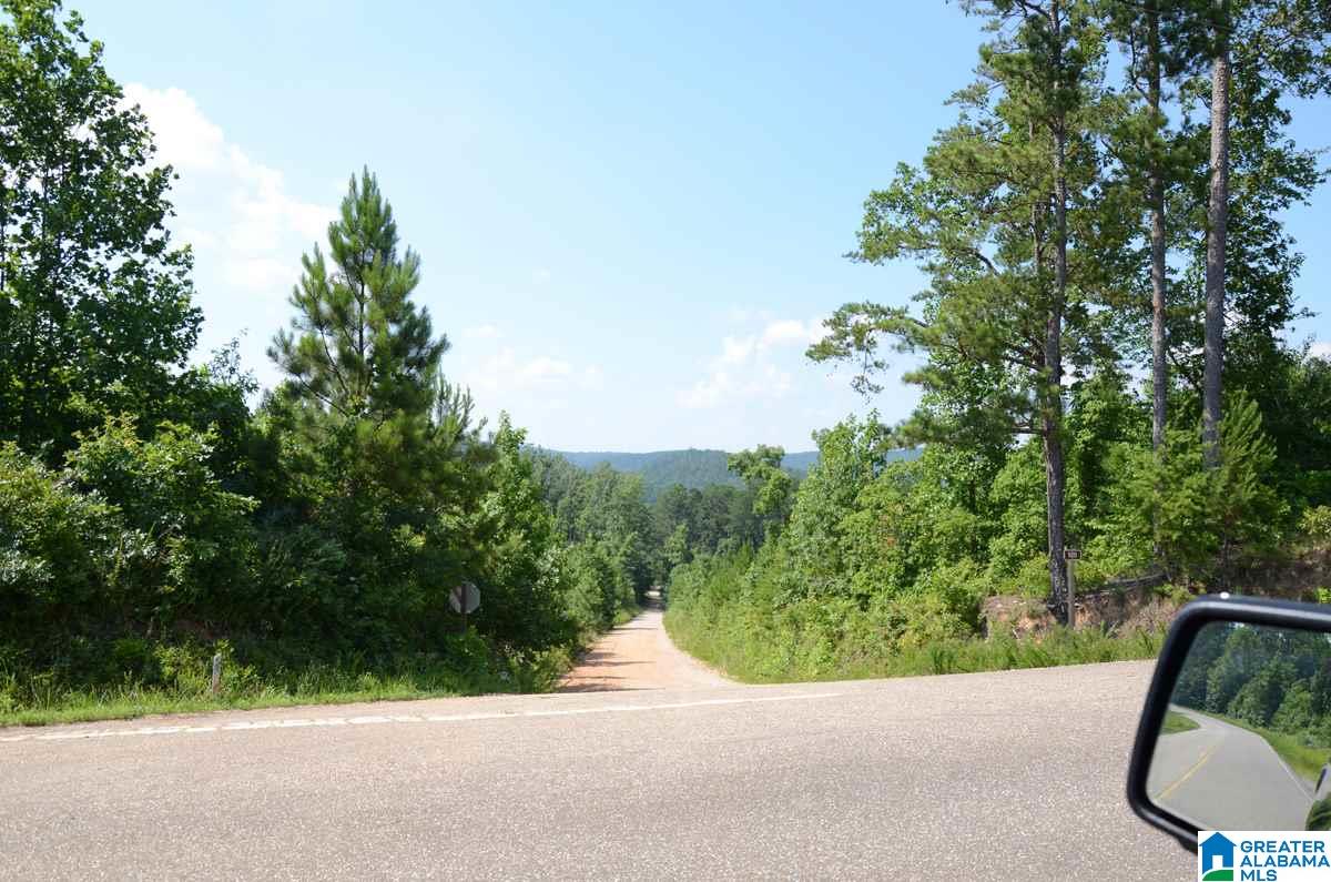 10098 County Road 55, Unit 24 ACRES Fruithurst, AL 36262 - Photo 10 of 27