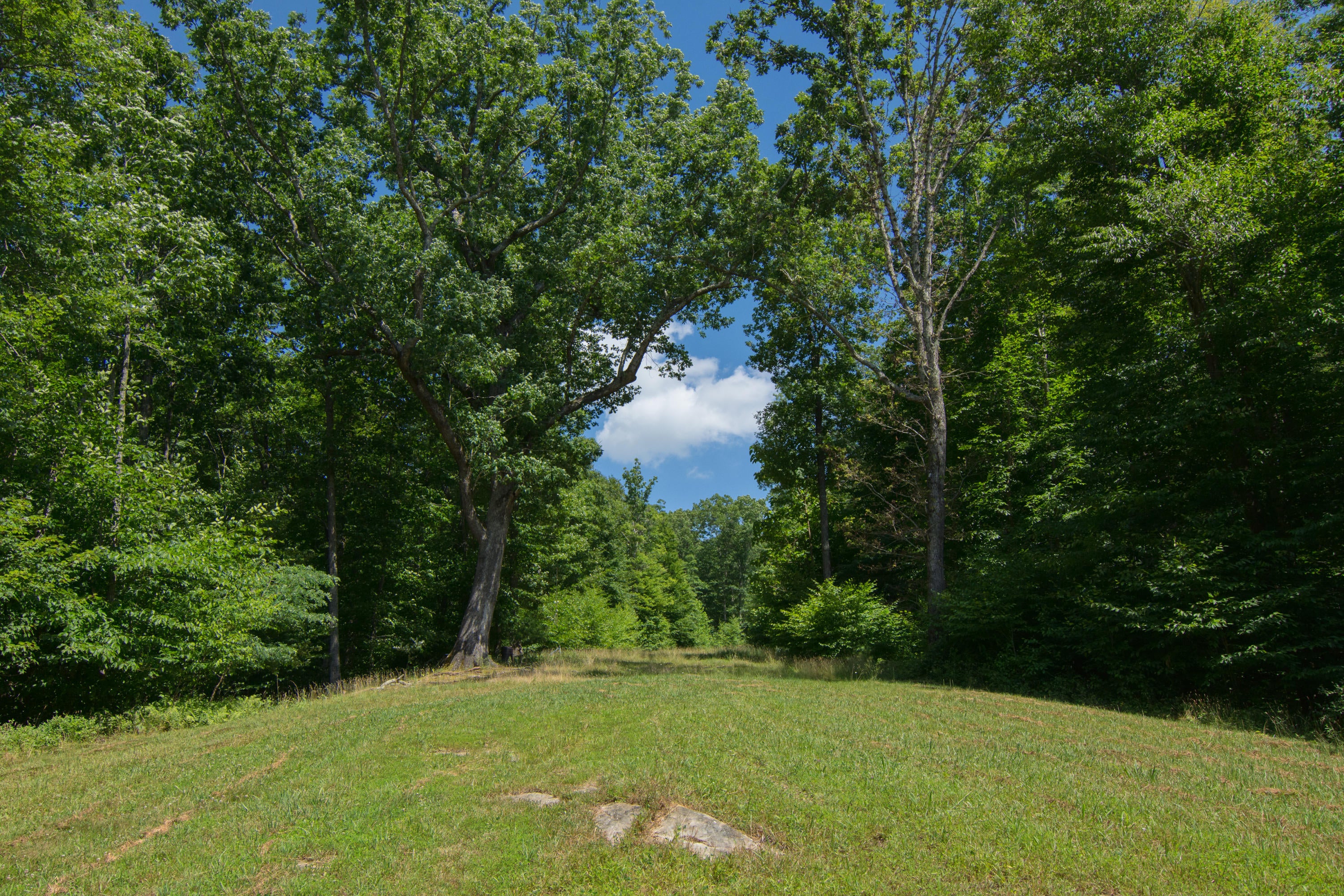 530 Sinking Creek Road Crawley, WV 24931 - Photo 54 of 61 Gallery Image 54