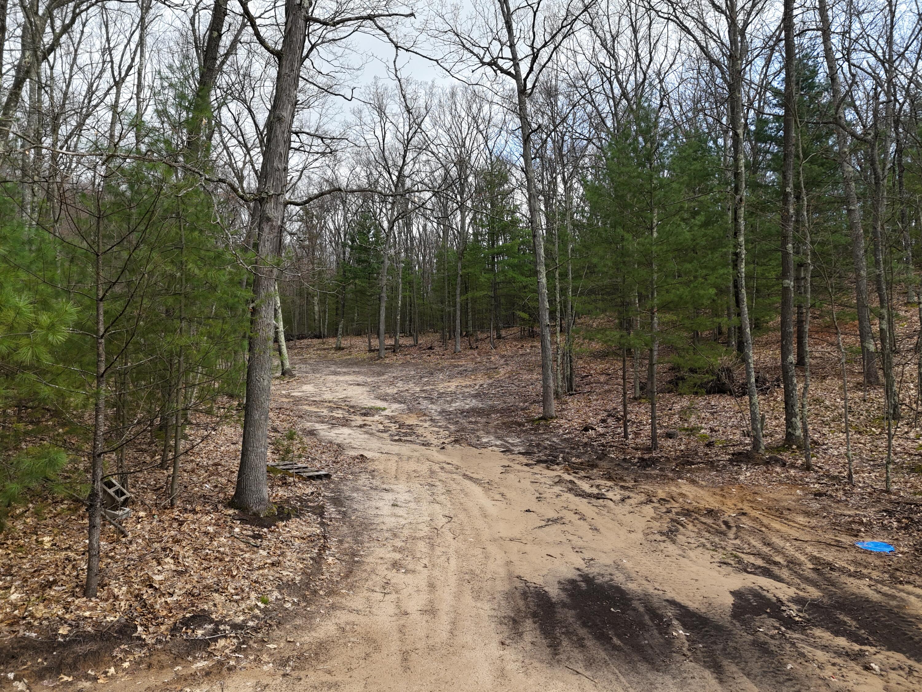 460 Seaman Road Wellston, MI 49689 - Photo 42 of 47 460 Seaman