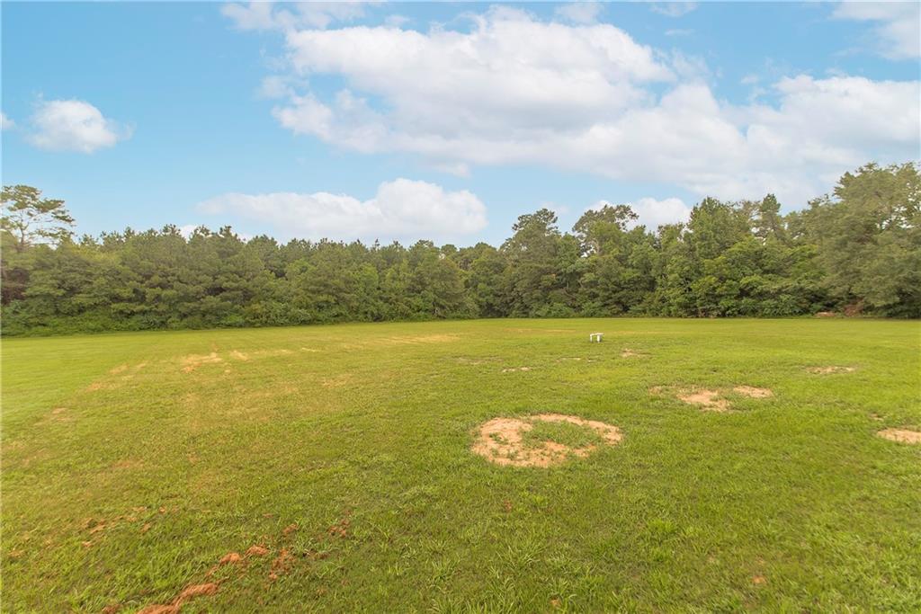16621 East Cooper Road Independence, LA 70443 - Photo 19 of 21