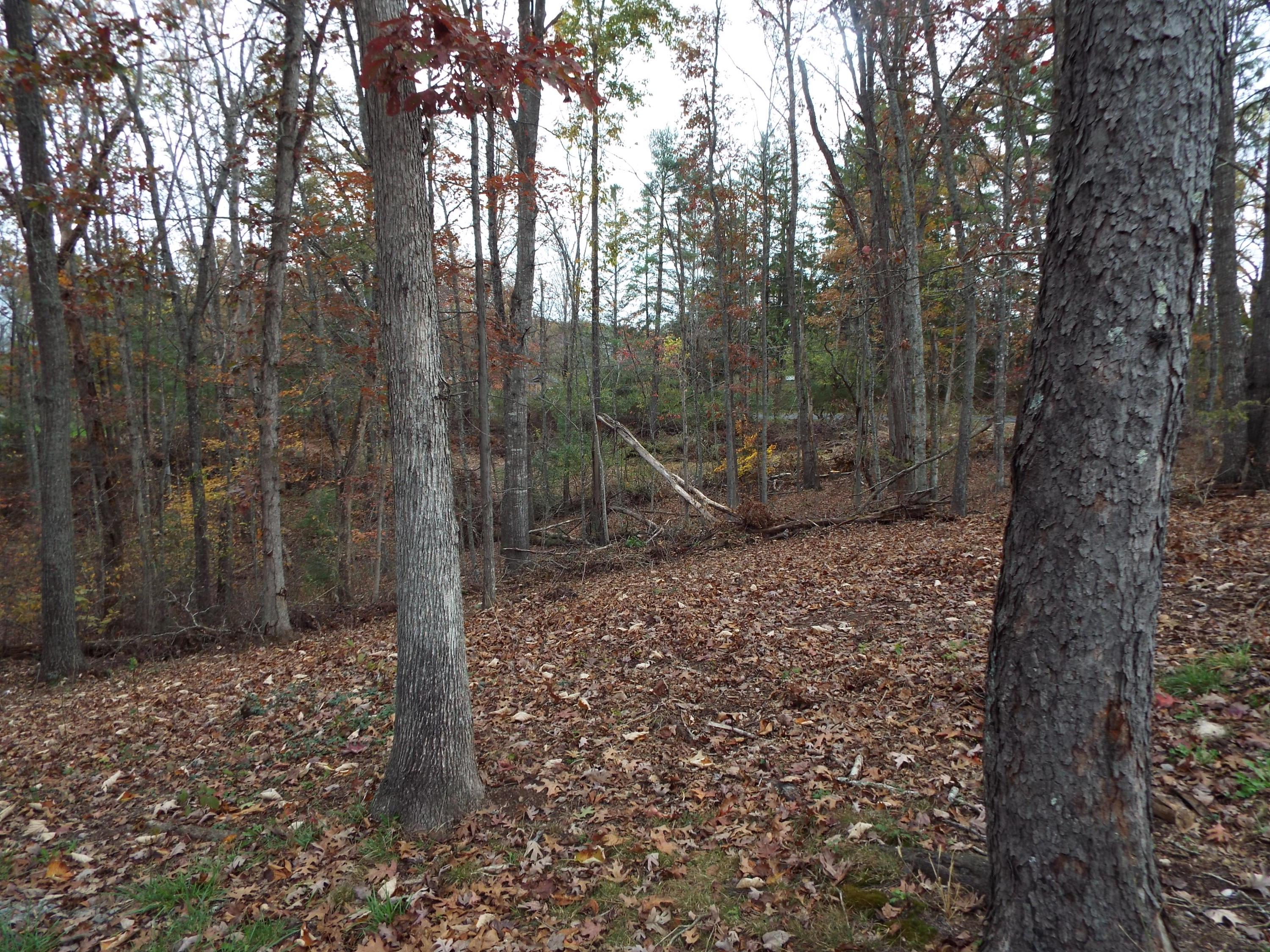 3085 Vago Road Frankford, WV 24938 - Photo 6 of 22 Gallery Image 6