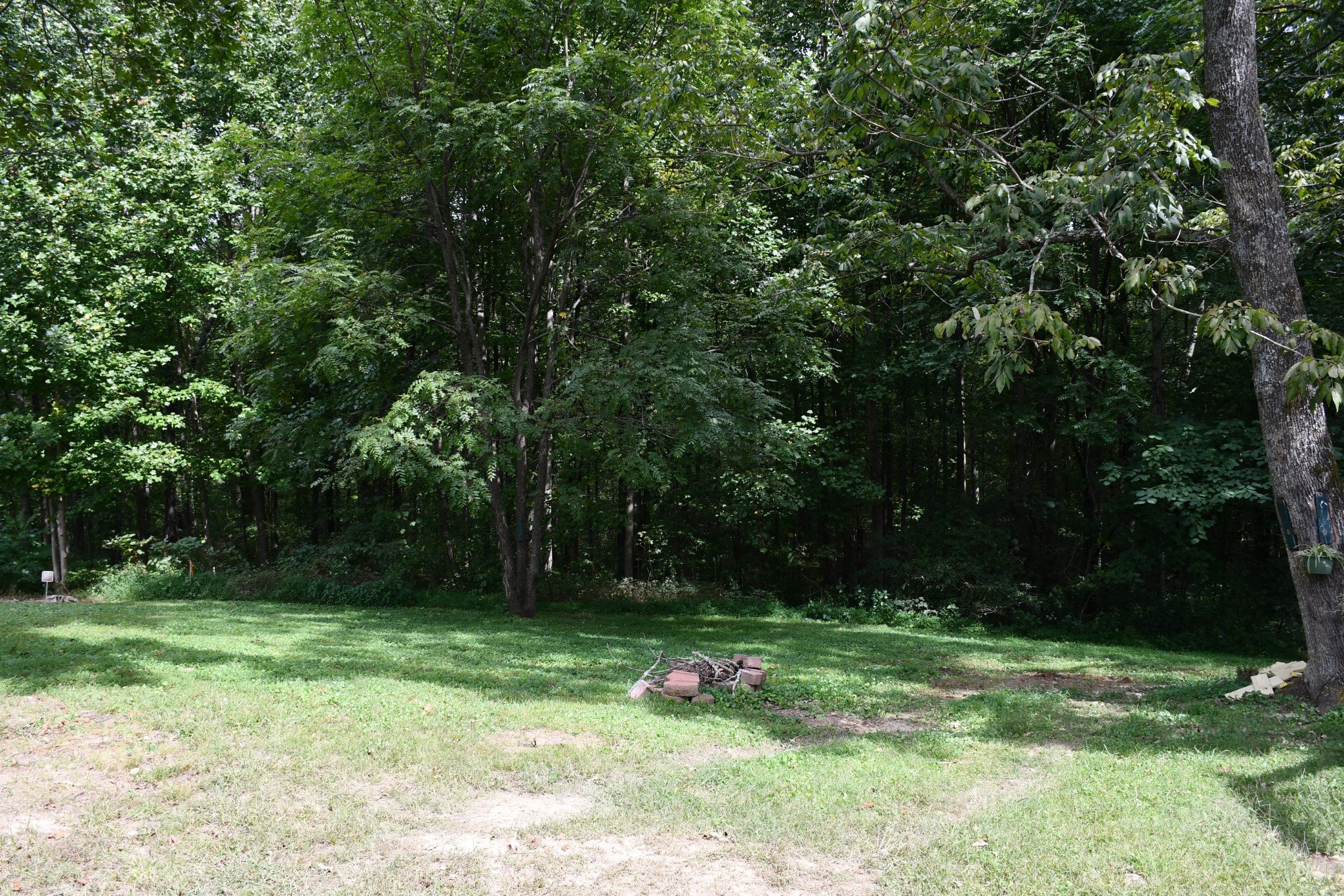 175 C Mitchell Road Portland, TN 37148 - Photo 2 of 11 Gallery Image 2