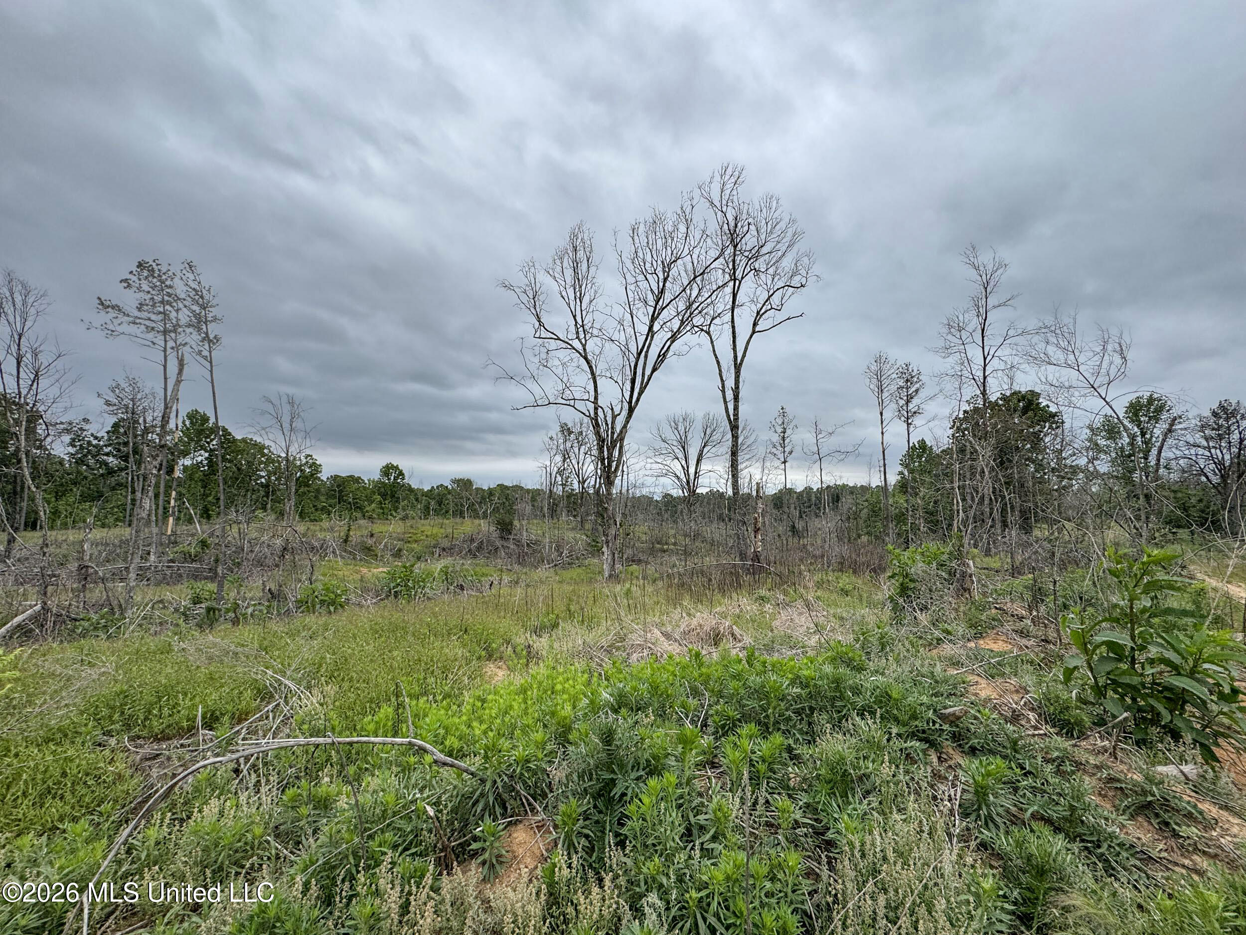 Wayne Massie Road Como, MS 38619 - Photo 162 of 184 5cdtbs110