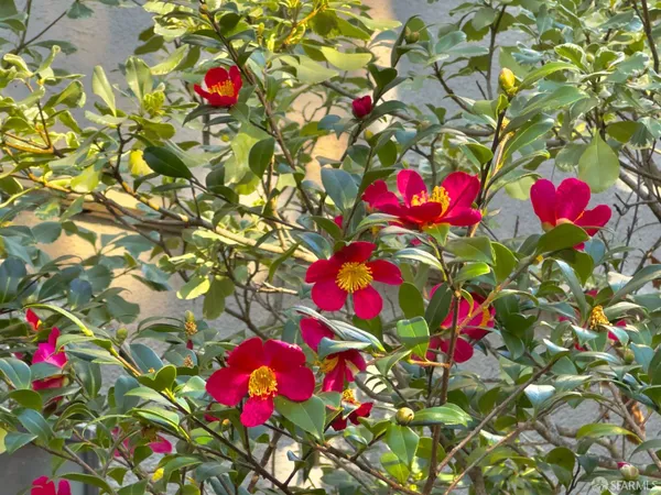 $349,800 | 7224 Shelter Creek Lane, San Bruno, CA 94066