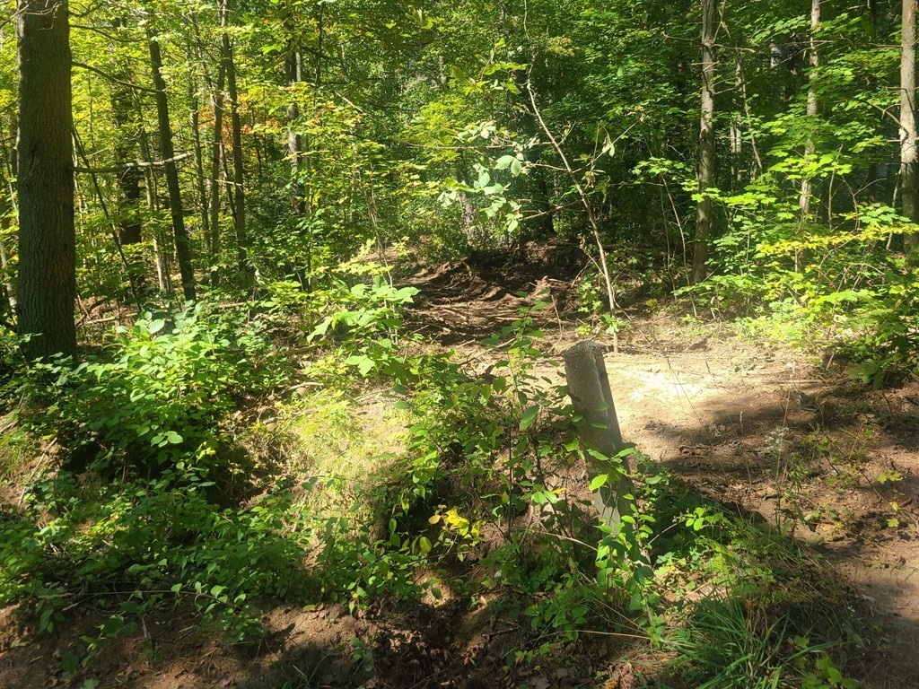0 Chase Road Orange, MA 01364 - Photo 1 of 3 Gallery Image 1