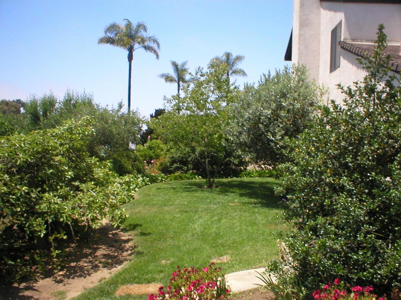7440 Shepard Mesa Road Carpinteria, CA 93013 - Photo 7 of 8 Lower side yard