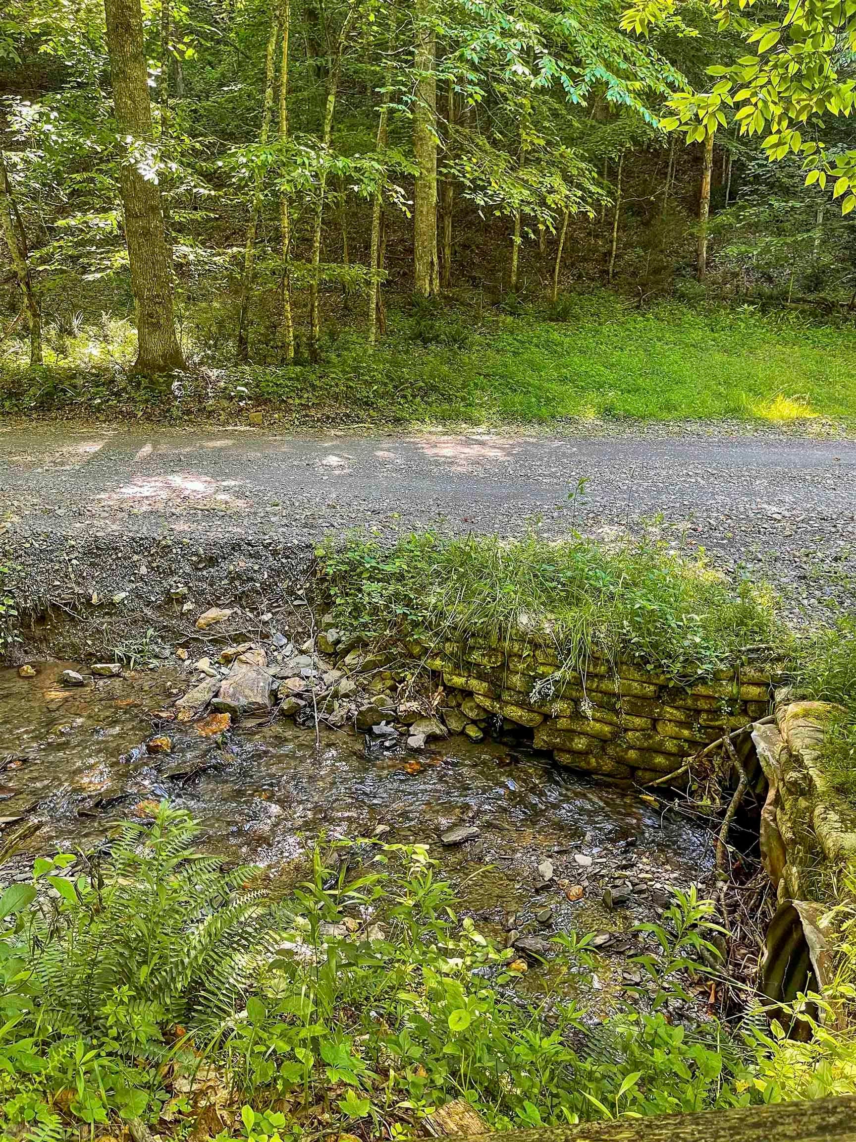 Tbd 68.5-ac Tbd 68.5-ac Berryhill Road Riner, VA 24149 - Photo 21 of 25 Gallery Image 21