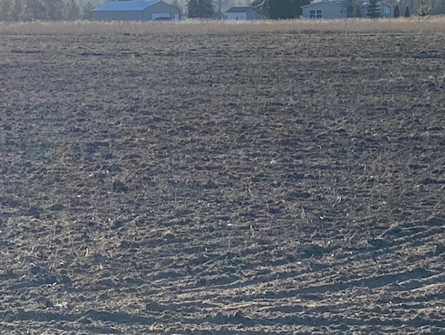 0 West Sandpiper Road Deer Park, WA 99006 - Photo 16 of 25 Gallery Image 16