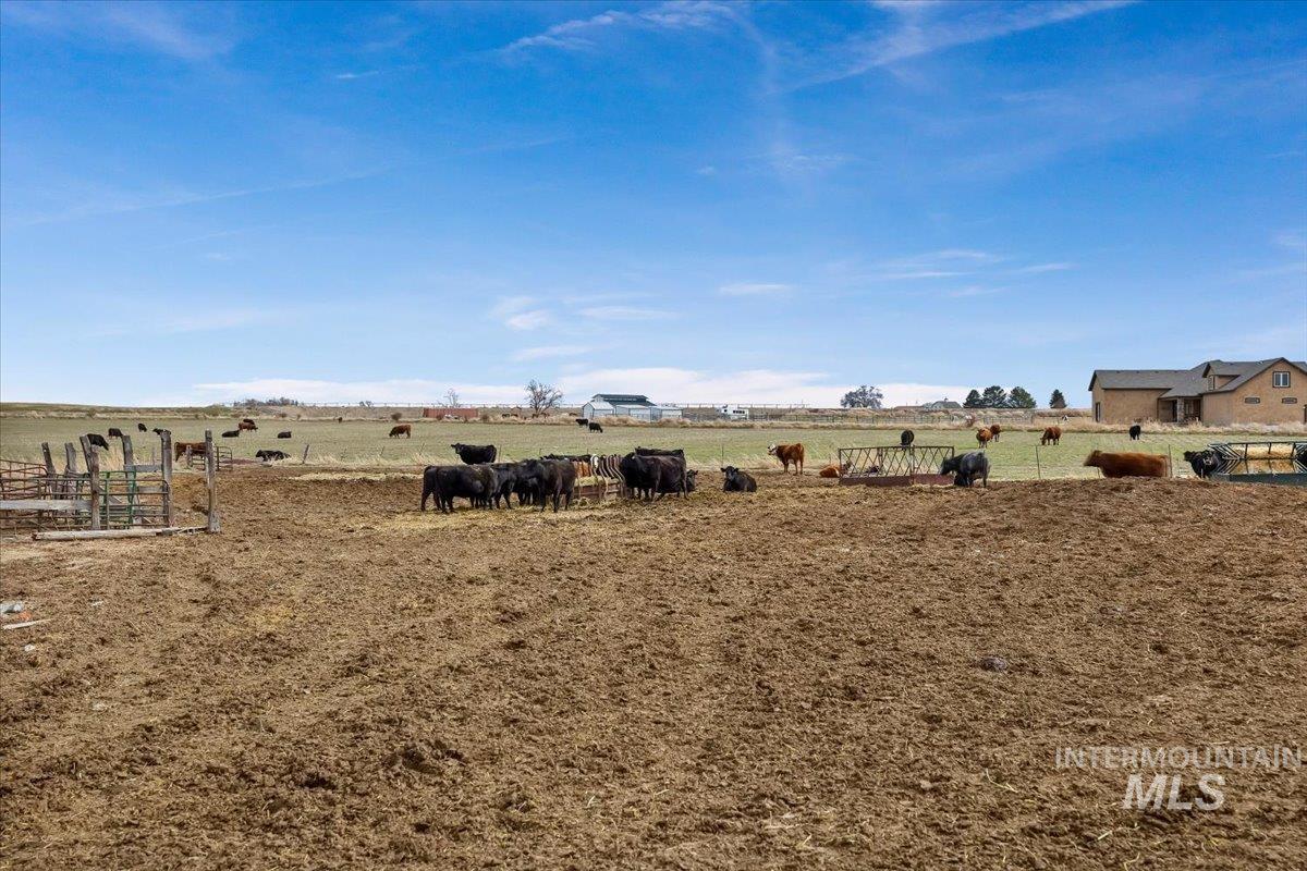 3536 North 2300 E Road Filer, ID 83328 - Photo 29 of 47 View of yard with a view of rural / pastoral area