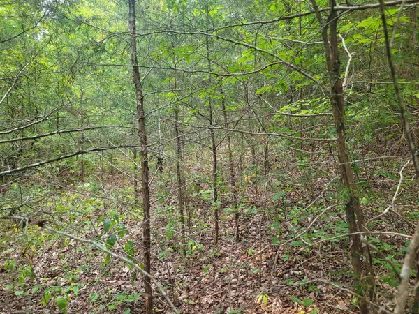 $286,000 | 0 Linden Highway, Clifton, TN 38425