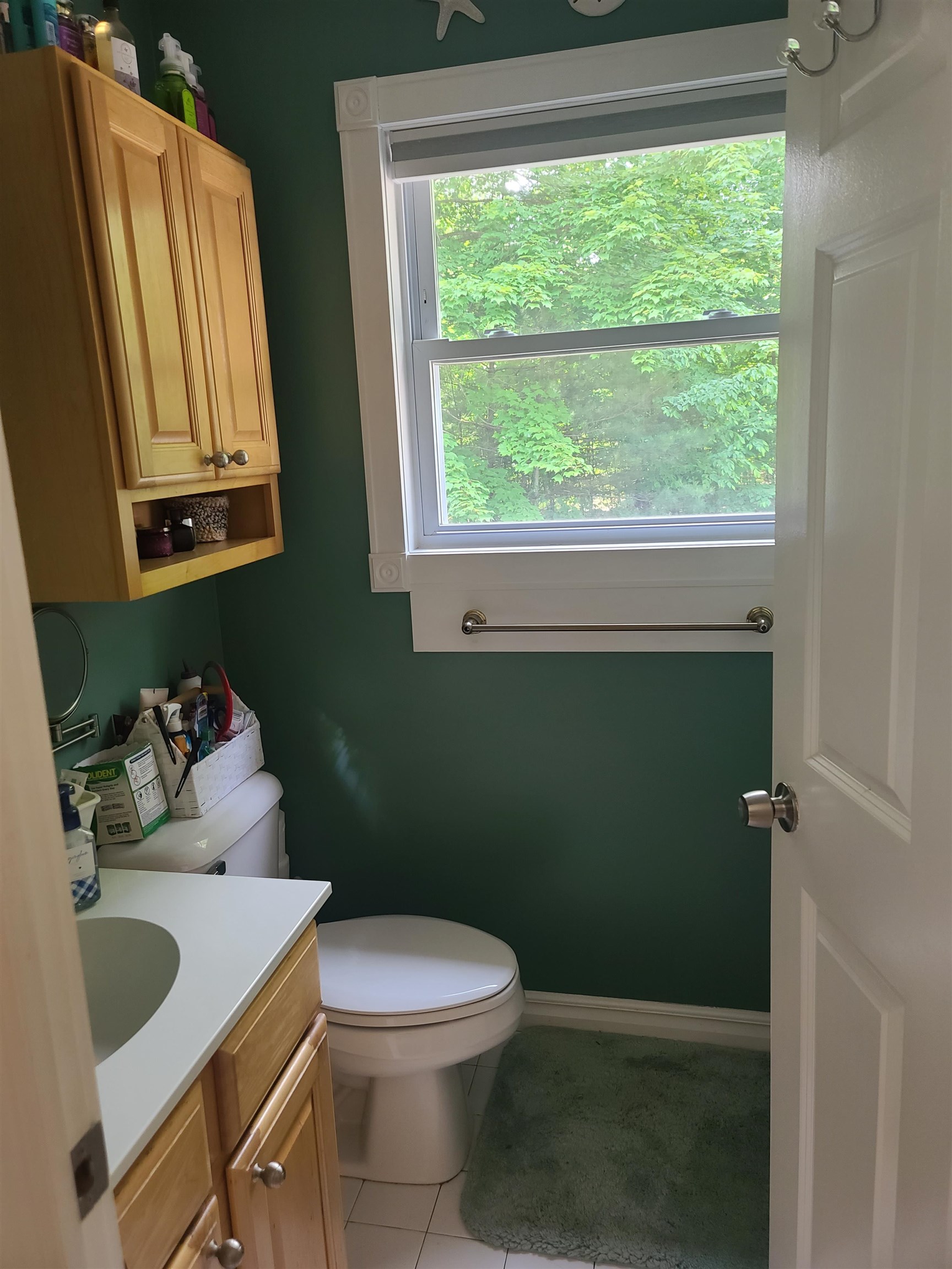 8188 Sparling Road Fife Lake, MI 49633 - Photo 25 of 38