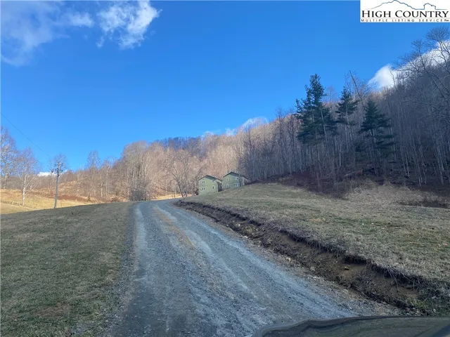 a view of a dry yard with trees