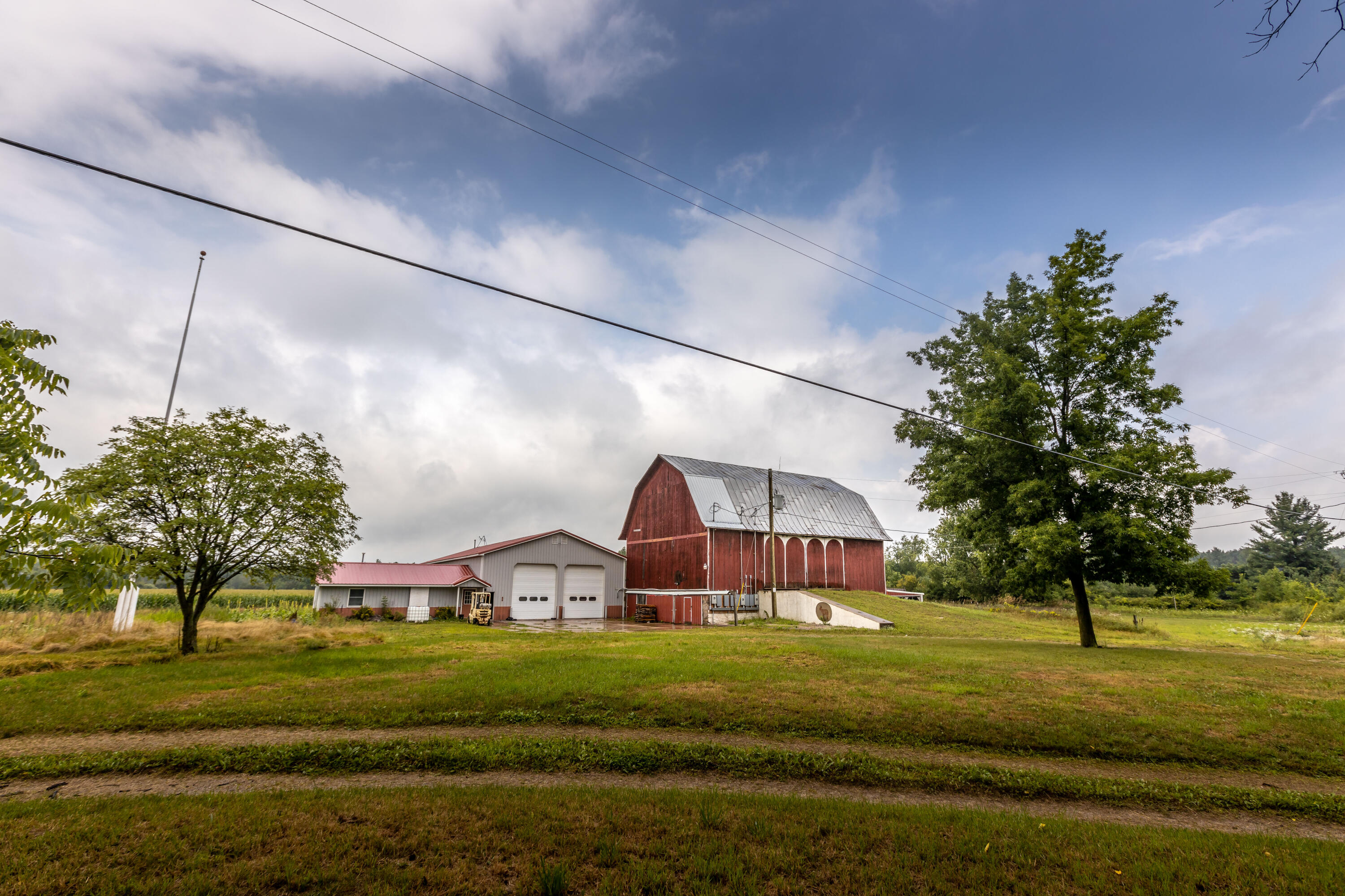550 Waldron Road South Crystal, MI 48818 - Photo 7 of 34 FY0A6995
