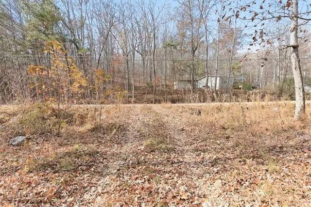 a view of a yard with trees in front of it