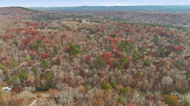 a view of city and mountain