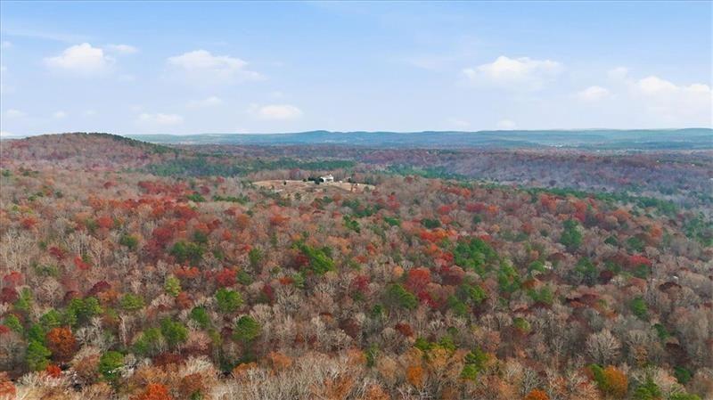 0 Flowery Branch Road Kingston, GA 30145 - Photo 14 of 29