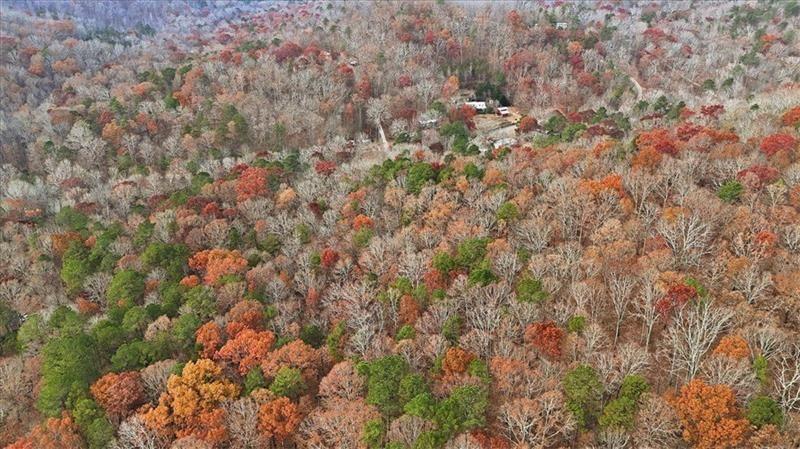 0 Flowery Branch Road Kingston, GA 30145 - Photo 20 of 29