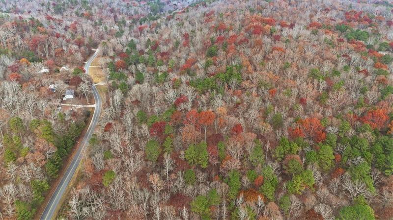 0 Flowery Branch Road Kingston, GA 30145 - Photo 22 of 29