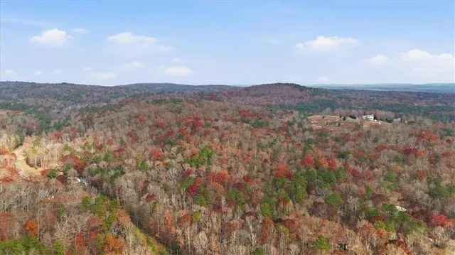 a view of a dry yard