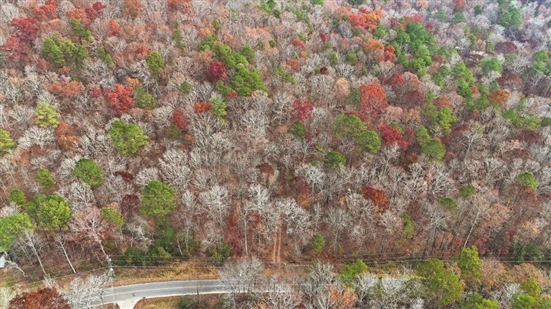 0 Flowery Branch Road Kingston, GA 30145 - Photo 25 of 29