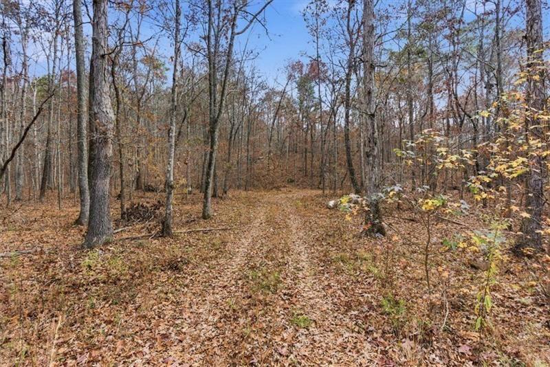 0 Flowery Branch Road Kingston, GA 30145 - Photo 3 of 29