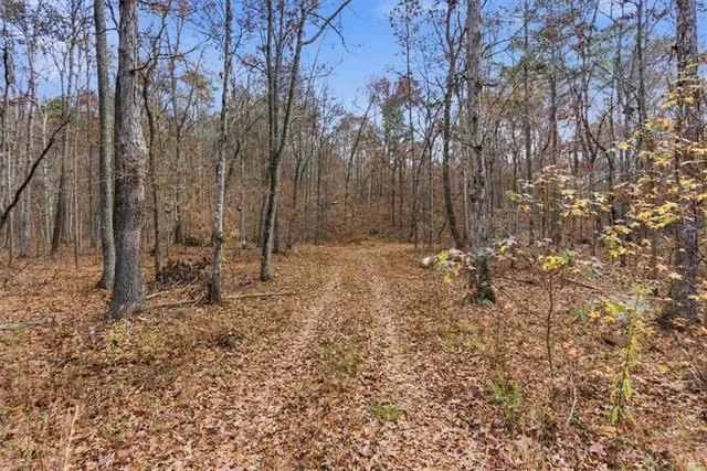 a view of small yard