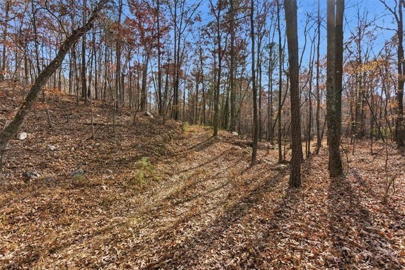 0 Flowery Branch Road Kingston, GA 30145 - Photo 4 of 29