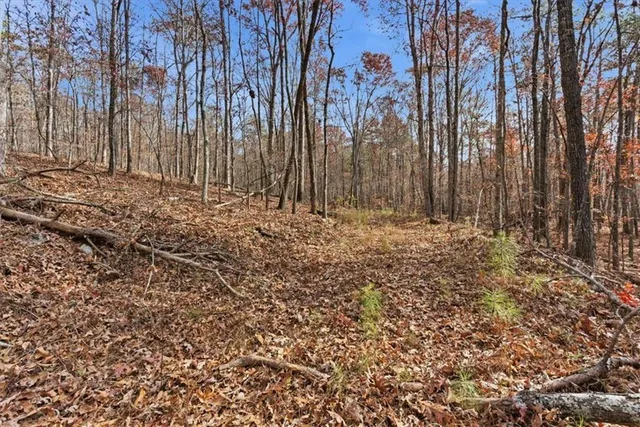 a view of large trees with lots of green space