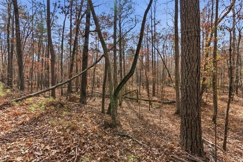 0 Flowery Branch Road Kingston, GA 30145 - Photo 6 of 29