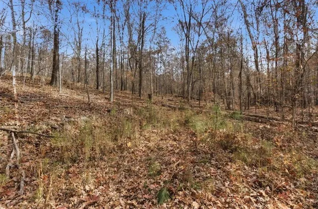 a view of a yard with trees in the background
