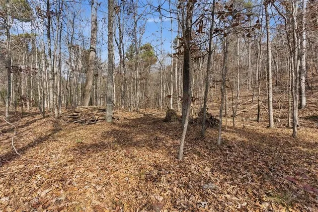 a view of wooden fence